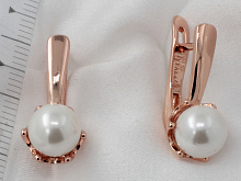 фото Серьги  fallon - (артикул - 18e097h0-FF1797)